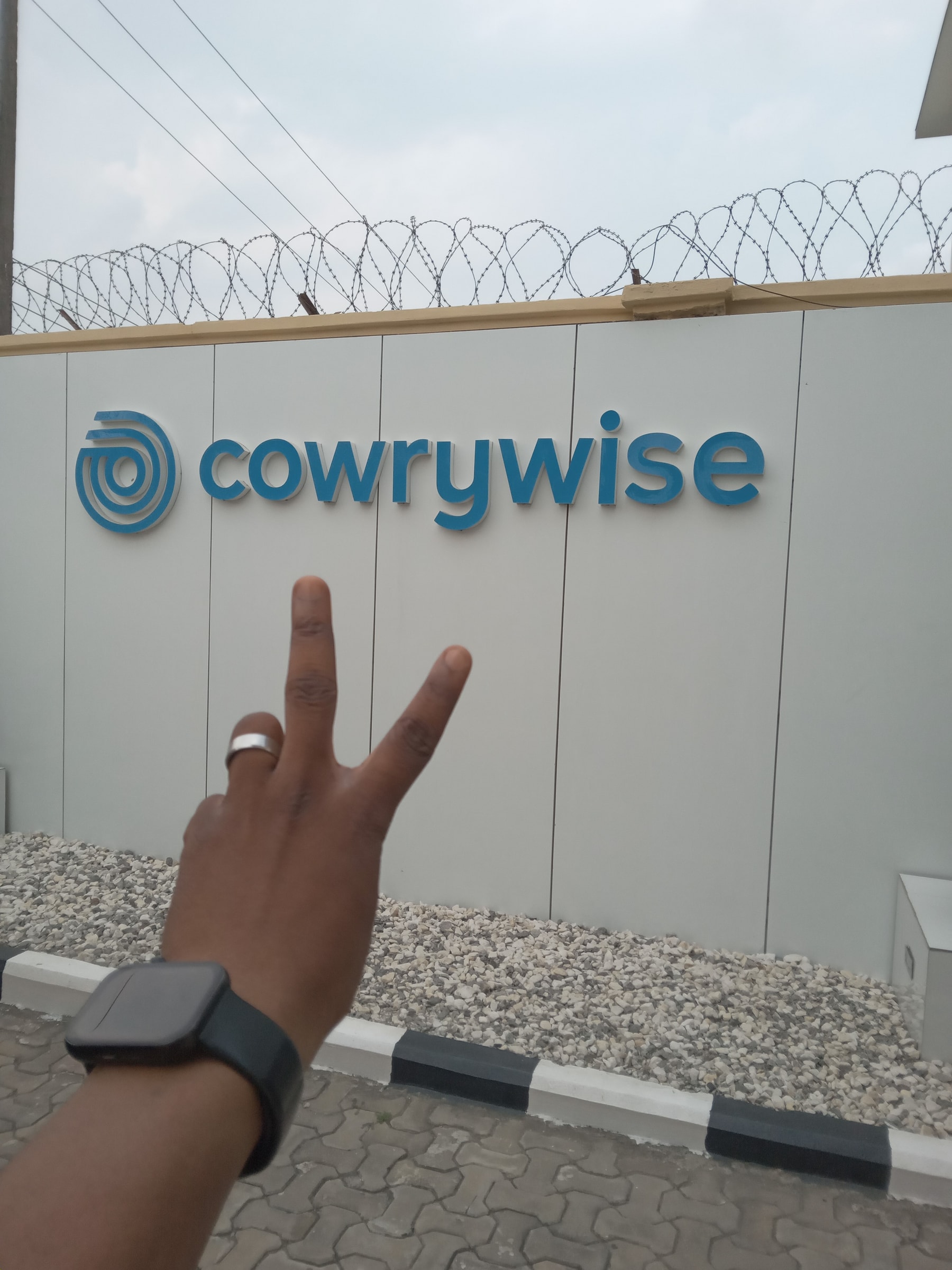 Campus ambassador, Cowrywise Campus Ambassadorship Program